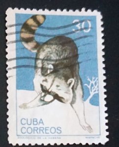 Cuba    Sc# 900  NATIONAL ZOO ANIMALS     30c   RACCOON   1964 used / cto