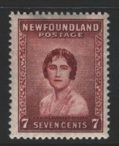 Newfoundland Sc#208 MNH