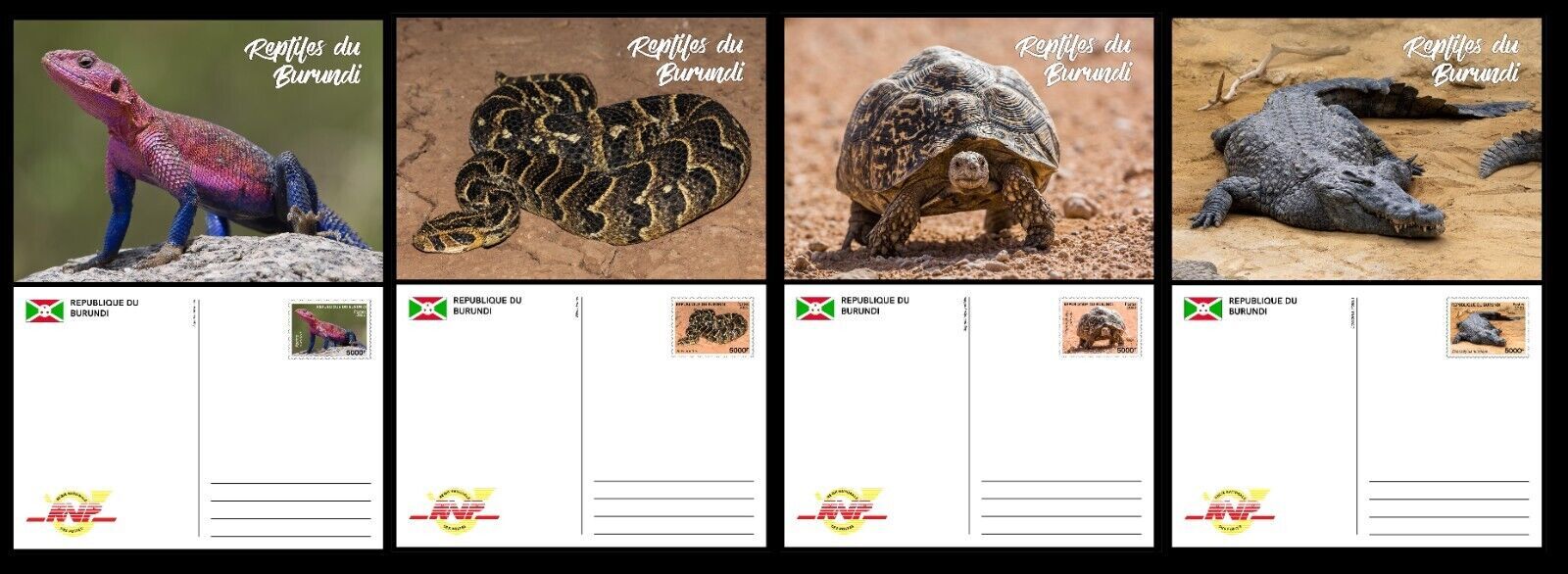 Burundi 2023 SET Of 4 Stationery Cards Reptiles Turtles Snakes   6dff019a56714d334d7580f2843b064e 