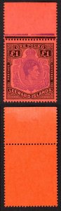 Leeward Is SG114c One Pound Perf 13 Violet and Black/Scarlet U/M Cat 30 pounds