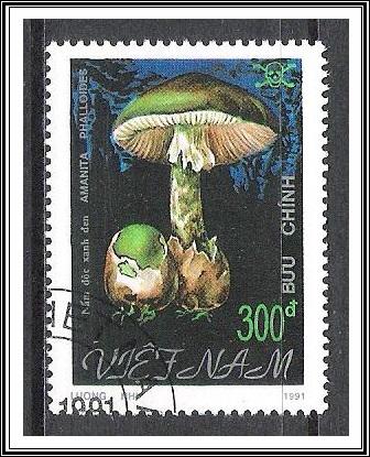 Vietnam North #2210 Mushrooms CTO