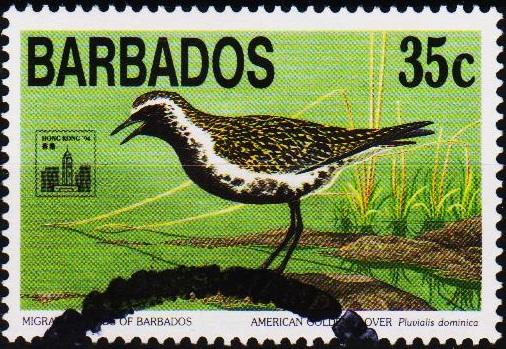 Barbados. 1994 35c S.G.1019 Fine Used