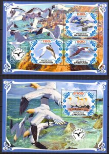 Gabon 2019 Sea Birds Sheet + S/S MNH