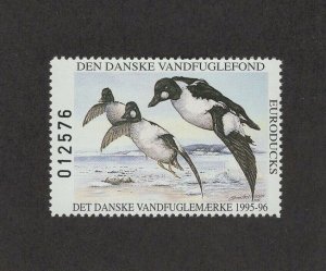 DN1 - Denmark Duck Stamp. Single. MNH.