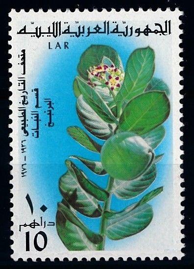 [66224] Libya 1976 Flora Plant Pflanze From Set MNH