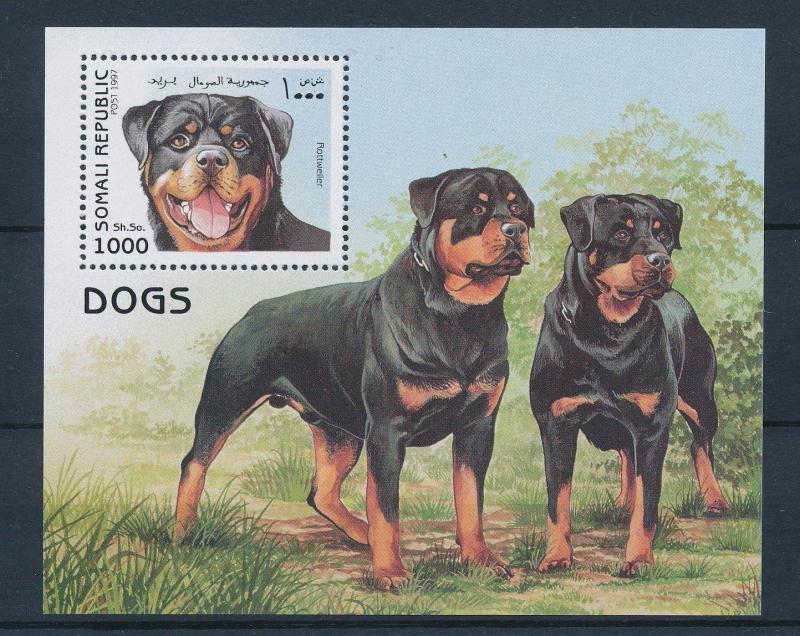 [28380] Somalia 1997 Animals Dogs Rottweiler MNH Sheet