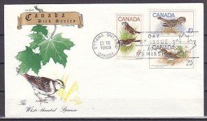 Canada, Scott cat. 496-498. Birds issue First day cover. ^