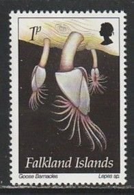 1994 Falkland Islands - Sc 598 - MH VF - 1 single - Goose Barnacles