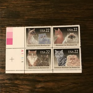 US SCOTT 2372-75 PB - 22¢ CATS (1) - P# A11111- MNH, XF - 2011 SSCV $4.00