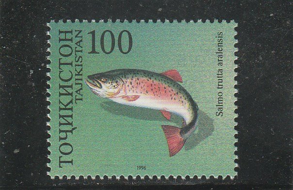 Tajikistan  Scott#  91b  MNH  (1996 Brown Trout)