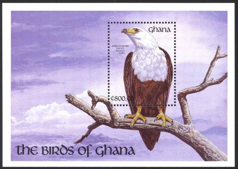 Ghana Sc# 1348 MNH 1991 800ce Birds of Ghana