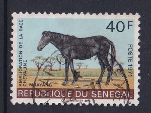 Senegal   #339   used   1971  horses  40fr