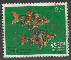 SRI LANKA, 1972, used 2r, Tropical Fish Scott 476