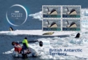 2023/03- BRITISH ANTARCTIC - FROZEN PLANET II   BF 4X0.80   complet set MNH**T