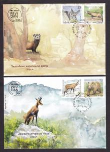 Serbia 2019 Fauna Animals Bats Polecats Chamois Bears Nature Mammals FDC