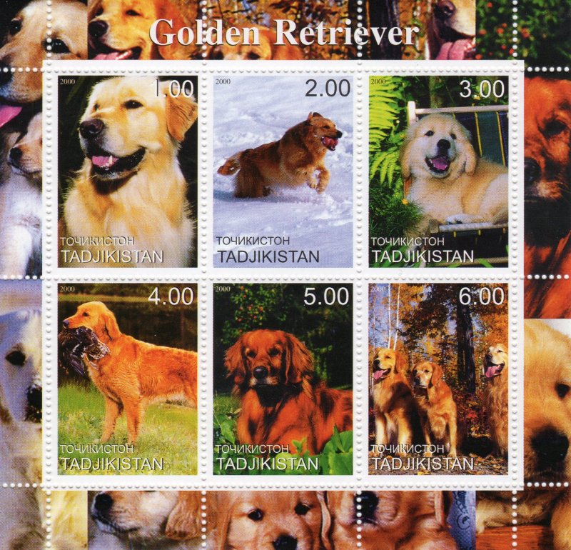 Tadjikistan 2000 DOGS GOLDEN RETRIEVER Sheetlet (6) MNH