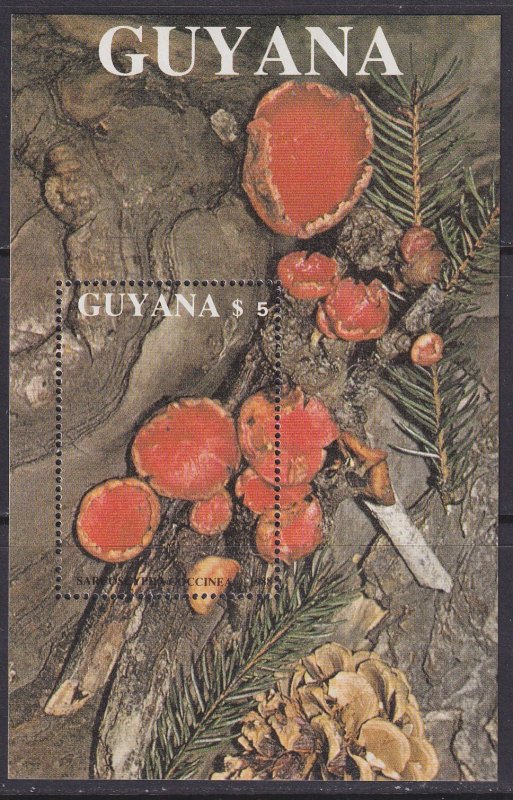 Guyana (1989) #2011 MNH; Mushrooms