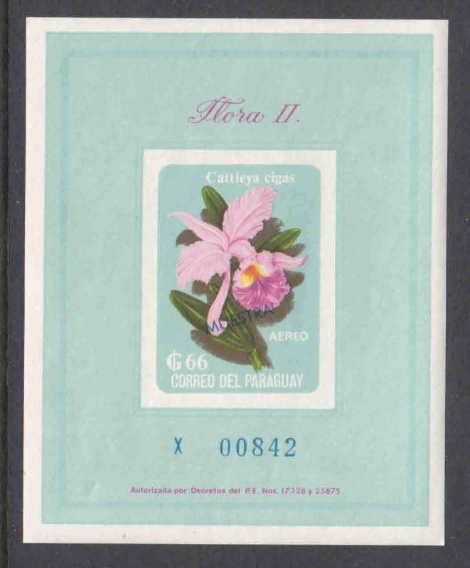 PARAGUAY C315 OG NH U/M SOUVENIR SHEET SOUND $60 SCV BEAUTIFUL GUM