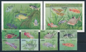 [110660] Uganda 1991 Marine life fish with 2 souvenir sheets MNH
