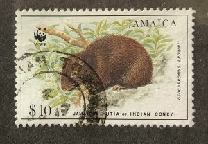 Jamaica 1996 Scott 858 used - $10, Endangered Species, Jamaican Hutia