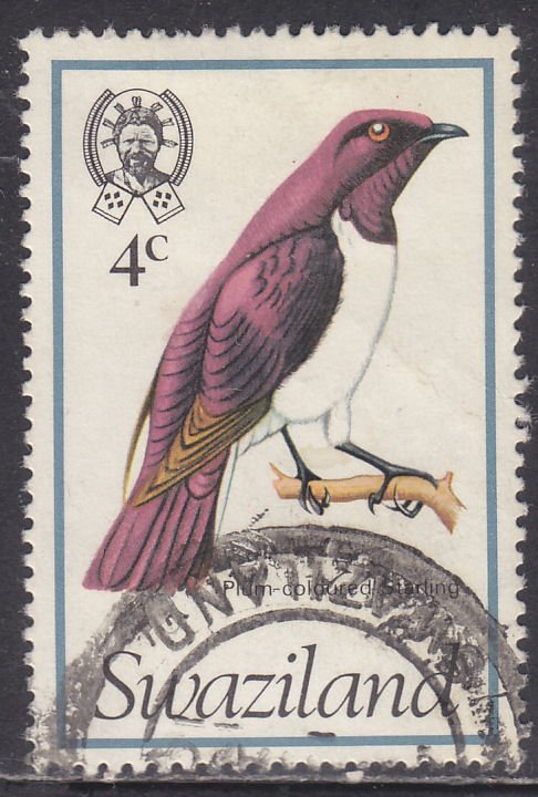 Swaziland 247 Plum-Coloured Starling 1976