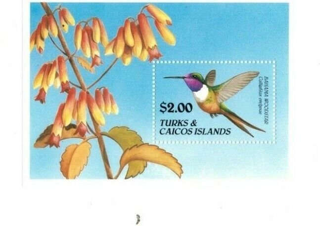 Turks and Caicos 1990 - Hummingbirds - Souvenir Stamp Sheet - Scott #867 - MNH