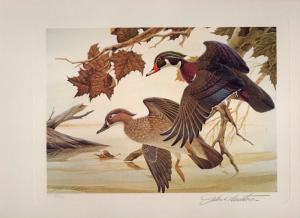 OHIO #1 1982 STATE DUCK STAMP PRINT WOOD DUCKS by John Ruthven