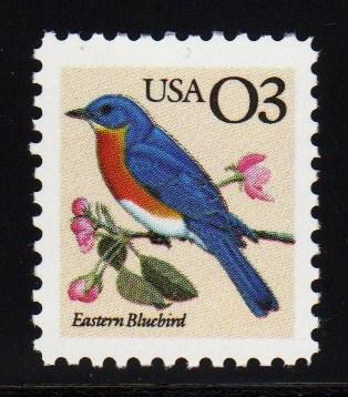 #2478 Eastern Bluebird  - MNH