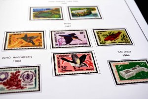 COLOR PRINTED COMOROS 1892-1975 STAMP ALBUM PAGES (25 illustrated pages)