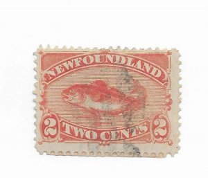 Newfoundland #48 Used - Stamp - CAT VALUE $7.50