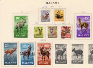 MALAWI Animals