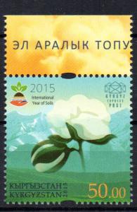  KYRGYZSTAN - INTERNATIONAL YEAR OF SOILS - COTON - 2015 -