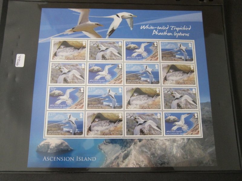 Ascension 2009 Sc 992a bird set MNH