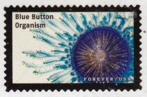 SC# 5802p - (68) Life Magnified, Blue Button Organism16 of 20 - Used Off Paper