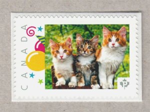 THREE BEAUTIFUL KITTENS = Picture Postage MNH Stamp Canada 2016 [p16/03dc6/1]