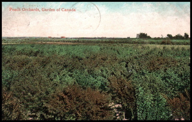 Canada 97 on 1908 Postcard Cover