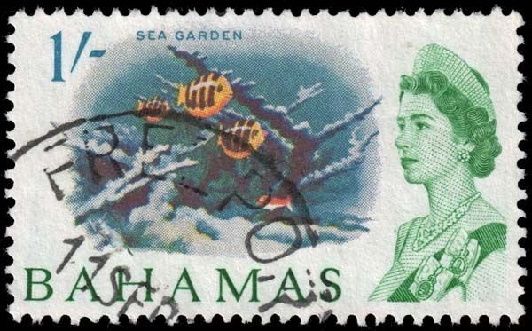 Bahamas - Scott 213 - Used - Punch