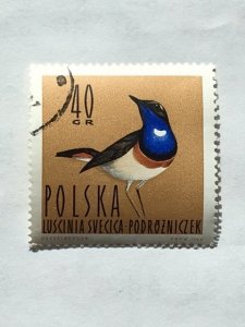 Poland–1964–Single “Bird” stamp–SC# 1232 - CTO