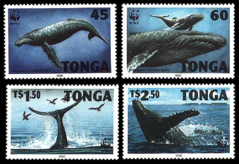 Tonga WWF Humpback Whale 4v SG#1337-1340 MI#1400-1403 SC#915-918