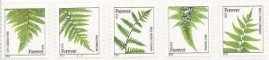 US Stamp 2014 Ferns - 5 Forever Stamp Plate Strip - Scott #4874-8