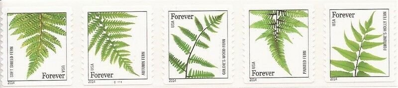 US Stamp 2014 Ferns - 5 Forever Stamp Plate Strip - Scott #4874-8