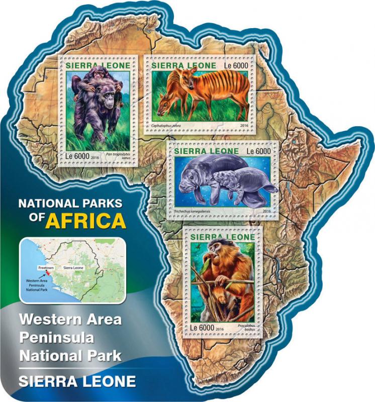 Sierra Leone 2016 MNH Western Area Peninsula National Park 4v M/S Monkeys Stamps 