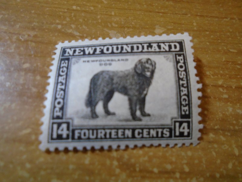 Newfoundland  # 194  MNH