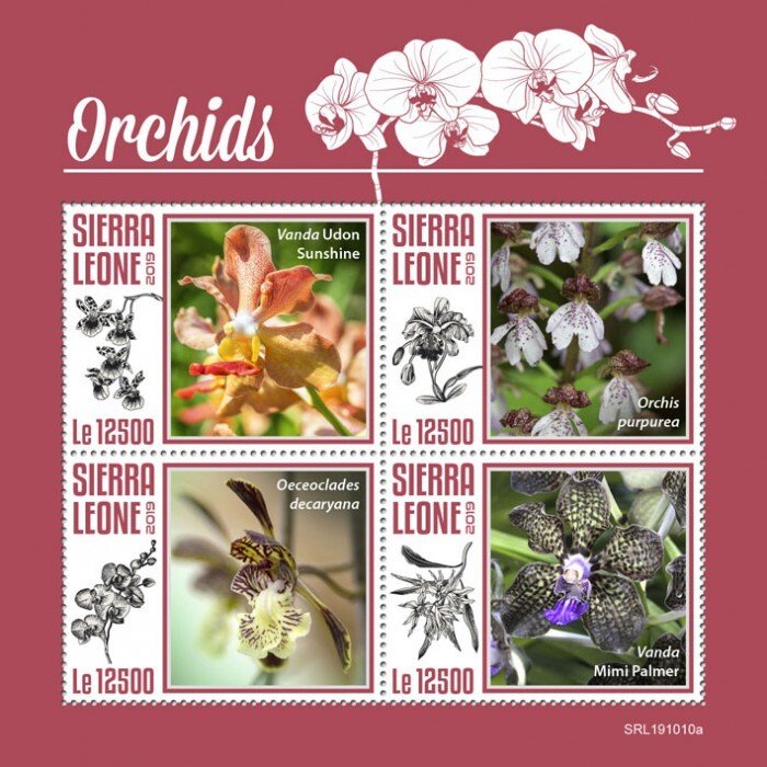 SIERRA LEONE - 2019 - Orchids - Perf 4v Sheet - Mint Never Hinged