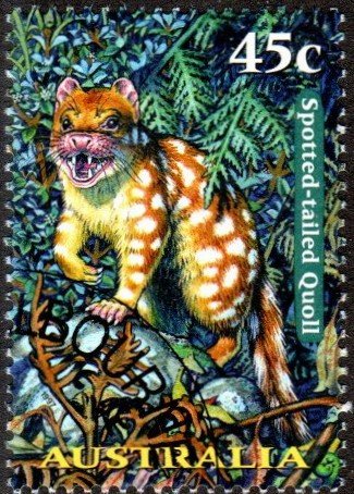 Australia 1618 - Used - 45c Spotted-tailed Quoll (1997) (cv $0.80)