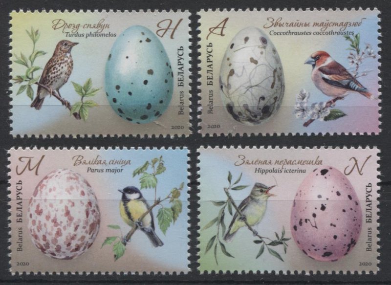 2020 Belarus 4v Fauna. Bird eggs. Songbirds