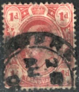 TRANSVAAL #282 - USED - 1905 - TRANS014