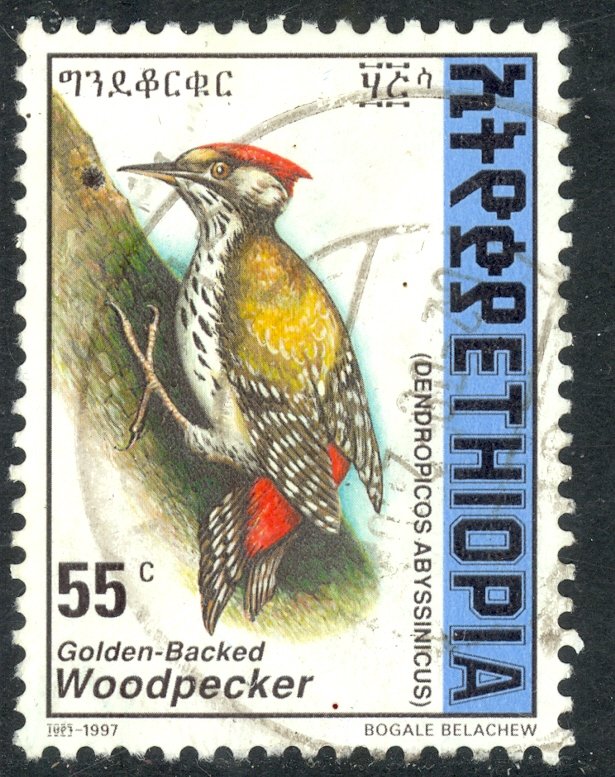 ETHIOPIA 1998 55c Golden Breasted Woodpecker BIRDS Issue Sc 1477 VFU