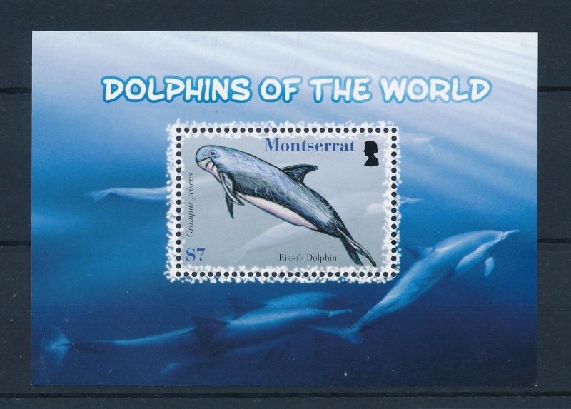 [40593] Montserrat 2008 Marine Life Dolphin MNH Sheet