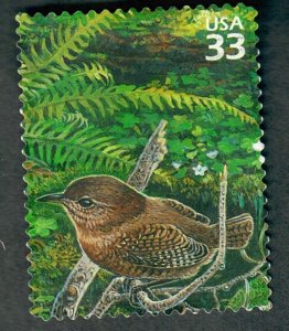 3378f Rain Forest Used Single